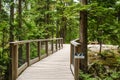 Squamish Canada July 9, 2017 - scenic view of walking trail in the Sea to Sky Gondola park in Squamish Royalty Free Stock Photo