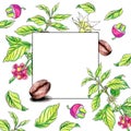 Square artistic pattern with coffee plant, flower and bean. Hand drawn colorful illustration