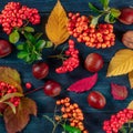 Square autumn composition with fall leaves and chestnuts, overhead shot Royalty Free Stock Photo