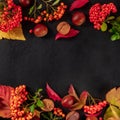 Square autumn design with fall leaves, chestnuts and copy space, shot from the top Royalty Free Stock Photo