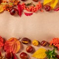 Square autumn design template with autum leaves, chestnuts and a place for text, shot from above Royalty Free Stock Photo