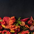 Square autumn design template with fall leaves, chestnuts and copyspace, top shot Royalty Free Stock Photo