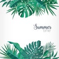 Square backdrop or background with green palm and monstera leaves or foliage of rainforest plants at top and bottom