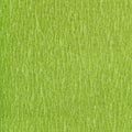 Square background of fibrous structure green paper Royalty Free Stock Photo