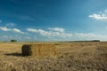 Square bale of hay in a field