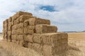 Many stacked hay bales on a harvested field Royalty Free Stock Photo