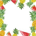 Banner with exotic tropical fruits on white background. Watercolor pineaple and watermelon frame. Summer illustration Royalty Free Stock Photo