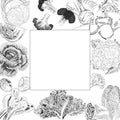 Square banner. Hand-drawn sketch. White, savoy, chinese, curly cabbage. Bok choy and kale. Broccoli and brussels sprouts