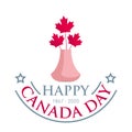 Square banner Happy Canada Day. Bouquet of red maple leaves in a pink vase on a white background Royalty Free Stock Photo