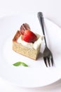 Square Basil Sponge Cake Royalty Free Stock Photo