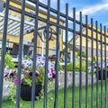Square Black metal fence with potted colorful flowers against blurry homes and blue sky