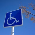 Blue Handicapped Parking Sign with Blue Sky and Tree Branch Royalty Free Stock Photo