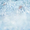 Square Blurred Delicate Nature Winter Christmas background Royalty Free Stock Photo