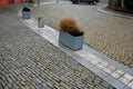 square bordered by concrete look flowerpots with