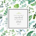 Square botanical vector design frame