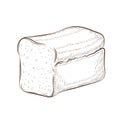 Square bread isolated on white. hand drawn traditional wheat, rye or whole grain loaf doodle icon. fresh baked sliced