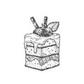 Square Cake with Berries Sweets Hand Drawn Doodle Vector Illustration. Confectionary Sketch Style Drawing. Isolated