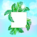 Square card with palm leaves Royalty Free Stock Photo