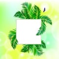 Square card with palm leaves Royalty Free Stock Photo