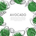 Square card with sketch avocado with green grunge spots and place for text. Healthy keto diet. Vegetarian engraving banner. Vector
