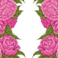 Square card with symmetry lush cartoon peony flowers with foliage and copy space. Vector natural border with floral bouquet