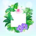 Square card with tropical decor Royalty Free Stock Photo