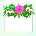 Square card with tropical decor Royalty Free Stock Photo