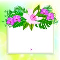 Square card with tropical decor Royalty Free Stock Photo