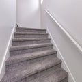 Square Carpeted stairs with wall-mounted white handrailing upstairs