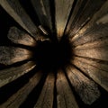 Square close-up macro of old Saguaro skeleton wood material on a black background