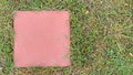 Square colored bricks on green grass, empty space on bricks.