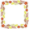 Square colorful frame, border made of colorful autumn leaves. Theme is forest, nature, happy fall, thanksgiving Royalty Free Stock Photo