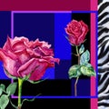 Square composition, design with roses and zebra skin Royalty Free Stock Photo