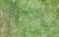 Square concrete block with green grass Royalty Free Stock Photo