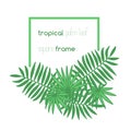 Square copyspace frame with palm leaves