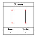 Square, Corners, vertices. 2d outline. Geometric figures isolated on a white backdrop, Royalty Free Stock Photo