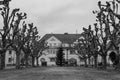 Square of the Council of XV in Strasbourg, France, with rows of trees, on a cloudy day, in grayscale