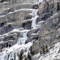 Square crop Bridal Veil Falls in Provo Canyon with snow ice and evergreen trees in winter Royalty Free Stock Photo