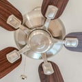 Square crop Ceiling fan with wooden blades and lights mounted on the ceiling of a home