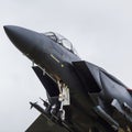 Square crop of an F-15E Strike Eagle