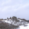 Square crop Hill with homes and leafless bushes on its gentle slope with snow in winter