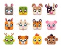 Square cute chinese animals. Cute horoscope muzzles, cartoon UI icons, wildlife and domestic characters avatars, app