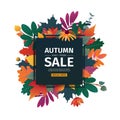 Square design banner with autumn sale logo. Discount card for fall season with white frame and herb. Promotion offer