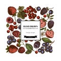 Square design with colored strawberry, blueberry, red currant, raspberry, blackberry
