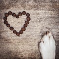 Square, DogÃÂ´s paw and dried heart-shaped kibble on wooden table