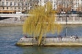 Square du Vert Galant and Seine river