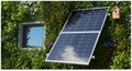 Square Eco Living Composition Solar Panel Greenery 1 Upscaled 4X clean composition Royalty Free Stock Photo