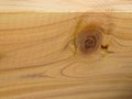 A square-edge piece of pine with wood burly grain knot.