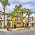 Square Elegant homes along road lined with palm trees in Long Beach scenic neighborhood Royalty Free Stock Photo