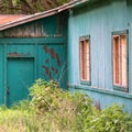 Square Exterior of shed in the forest with damaged roof and peeling green paint on wall